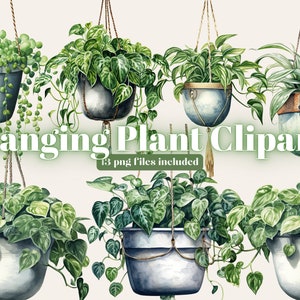 Aquarel planten clipart, hangende plant Png, hangende planten sublimatie, groen clipart, potplanten, afdrukbare afbeeldingen