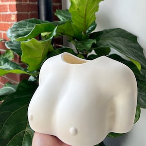 Chest body positivity pot | Modern pot with drainage holes | Breast Vase | Free the nips