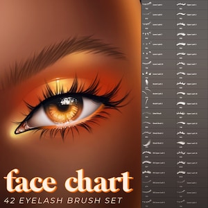 Face Chart 42-Piece Eyelash Stamp Brush Pack | Photoshop, Procreate, Krita, Clip Studio Paint