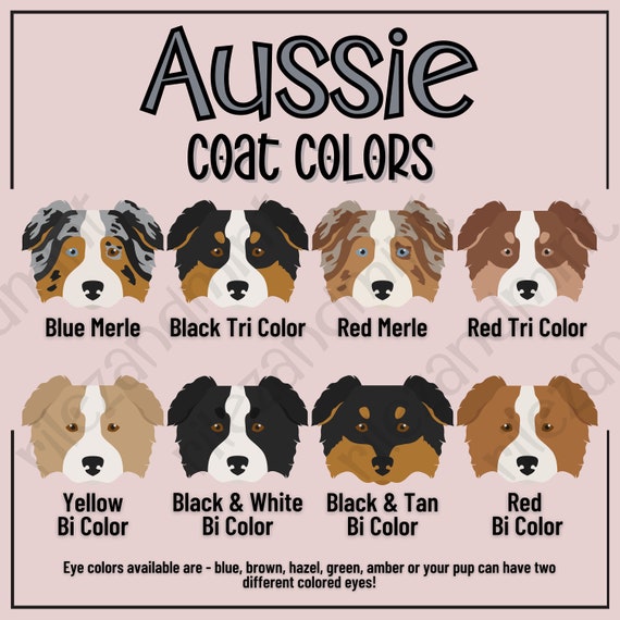 Mini Australian Shepherd Tumbler Mini Australian Shepherd Tumbler