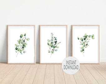 Può includere: Set di tre stampe d'arte stampabili con illustrazioni ad acquerello di foglie di eucalipto su sfondo bianco. Le stampe sono incorniciate in semplici cornici di legno e sono esposte su una parete bianca.
