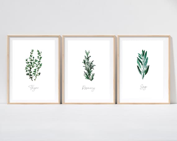 Herbs Set of 4 Watercolor Painting, Kitchen Prints, Sage Thyme