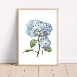 Hamptons Floral Blue Hydrangea Print, Home Decor, Wall Art, Kitchen Laundry Poster Prints