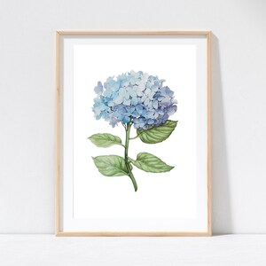 Hamptons Hydrangea Floral Watercolour Blue Flower Print, Home Decor, Wall Art, Kitchen Laundry Poster Prints