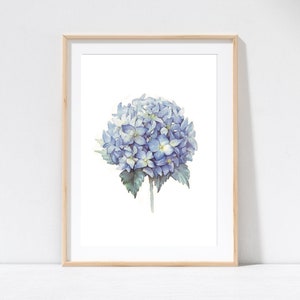 Hamptons Blue Hydrangea Floral Flowers Print, Home Decor, Wall Art, Kitchen Laundry Poster Prints