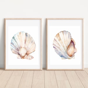 May include: Two watercolour paintings of seashells in a white frame. The seashells are a light beige colour with hints of blue and purple. The seashells are painted in a realistic style.