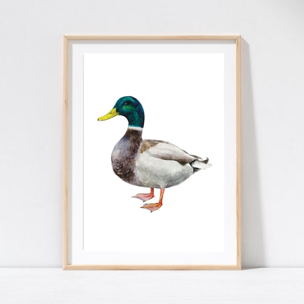 Duck Wall Decor Etsy