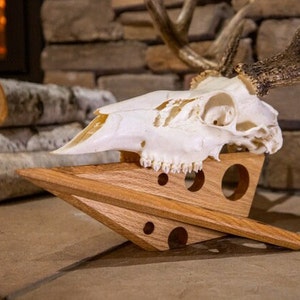 May include: A white deer skull with antlers mounted on a wooden stand. The stand is made of light brown wood and has a triangular shape. The skull is resting on the stand with the antlers pointing upwards.