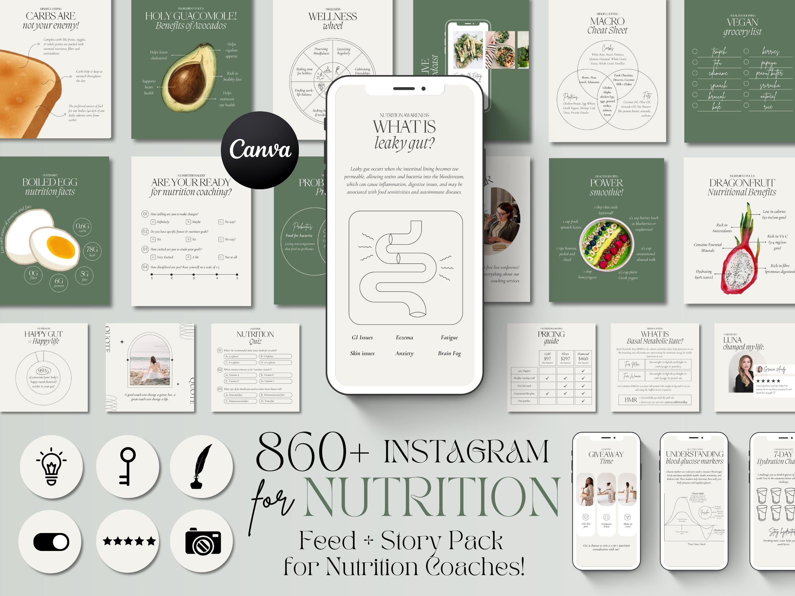 Canva Instagram Templates for Nutrition Coach, Health Coach, Dieticians, Nutritionists, Wellness IG (Digital Download)