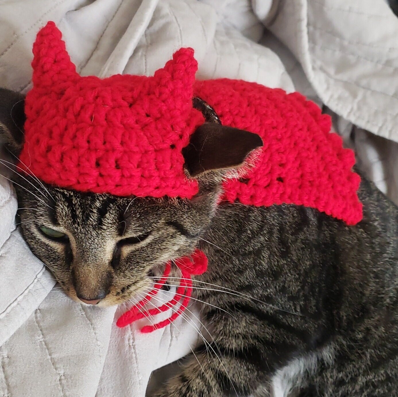cat devil costume