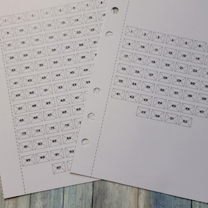52 and 100 Envelope Challenges