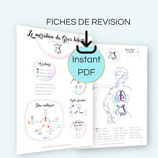 PDF Large Intestine Meridian Sheet, Review Sheet, Chinese Medicine Course, Meridian Acupuncture