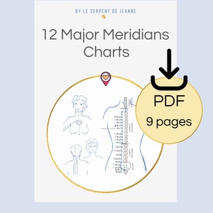12 Major acupuncture Meridians Chart, PDF printable, Chinese Medicine Guide, Instant download, Acupuncture Chart