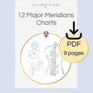 Cuadro de los 12 meridianos principales de acupuntura, PDF imprimible, Guía de medicina china, Descarga instantánea, Cuadro de acupuntura