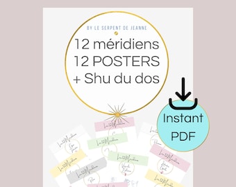 Acupuncture Poster 12 meridians, PDF PACK 15 pages, Printable poster, Acupuncture art, Wall decoration, Cabinet