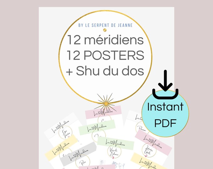 Acupuncture Poster 12 Méridiens PACK PDF 15 Pages Poster à - Etsy
