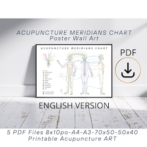 Poster Akupunktur-Meridiane-Diagramm, englische Version, Wandkunst, chinesisches Medizin-Poster, Akupunkteur-Geschenk