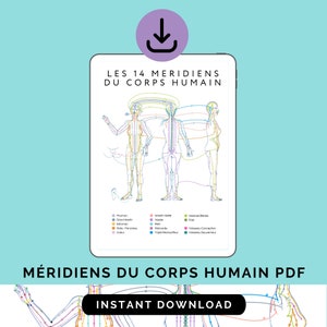 Chinese meridians poster, Human body meridians, PDF, Chinese medicine meridians chart, Acupuncture decor, A4 acupuncture poster