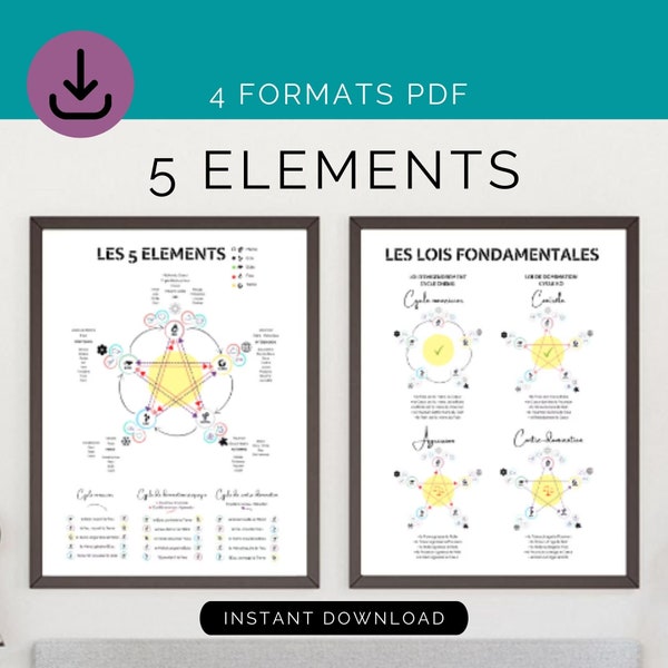 Poster 5 ELEMENTS Chinese medicine x2 POSTERS, Principles and fundamental laws, acupuncture wall art, TCM, office decor