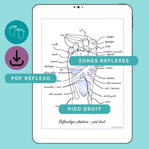 Rechtervoet voetreflexologie kaart - voetmassage kunst aan de muur