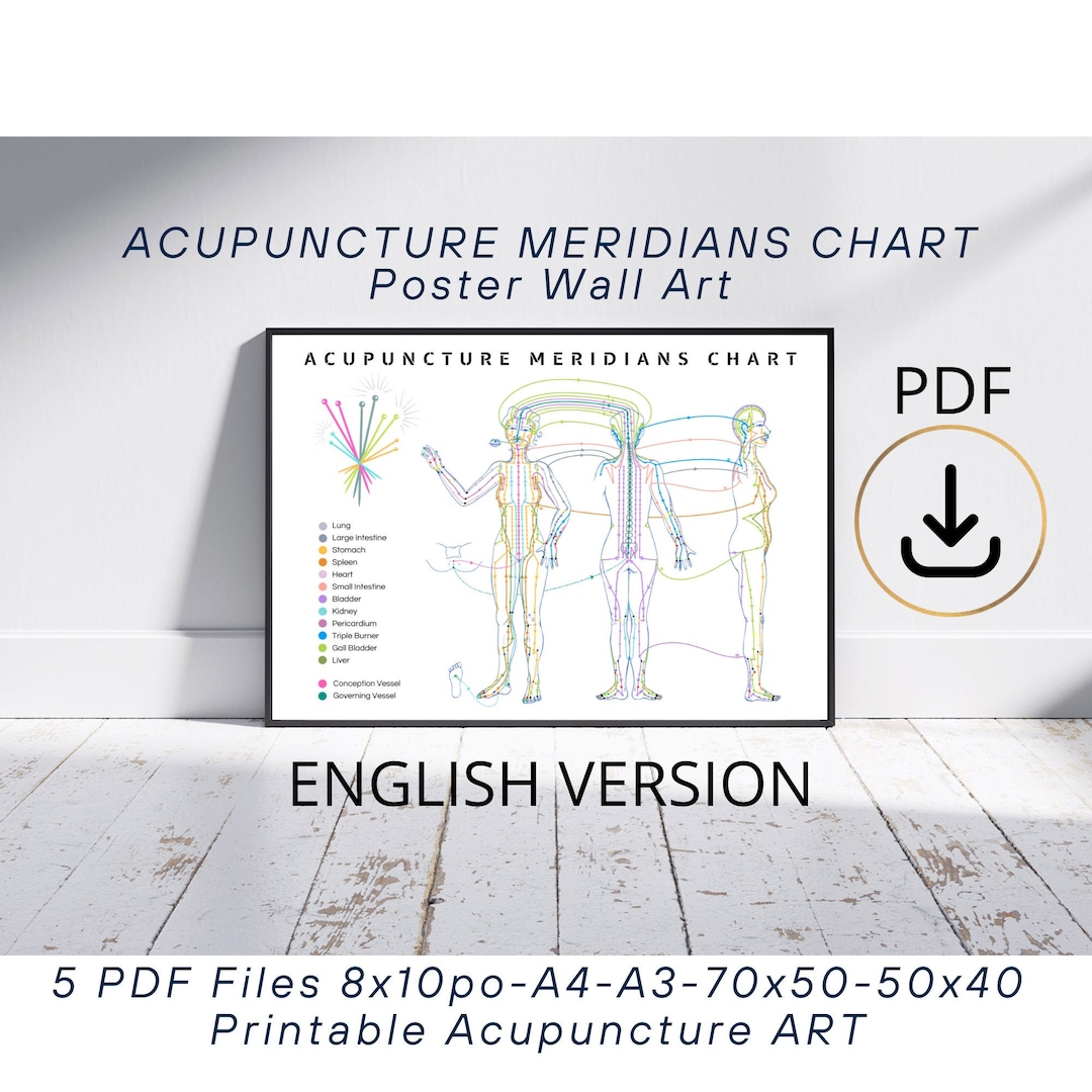 Poster Acupuncture Meridians Chart, ENGLISH Version, Wall Art, Chinese