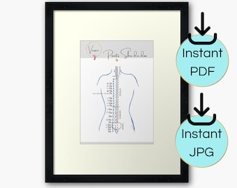 May include: A framed print of a human figure with a diagram of the spine and points labeled "Vesic Points Shu du  dos". The print is on a white background with a black frame.