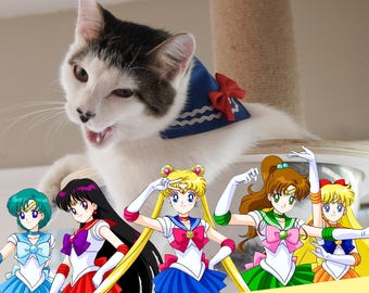 Sailor Moon Cat Bandana Over the Collar, Adjustable Safety Buckle | Paws 2025-26