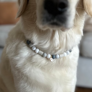 May include: A white Golden Retriever dog wearing a white and gray beaded collar with a gold charm. The dog is sitting on a light brown woven rug.