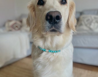 Handcrafted EM-Ceramic Dog Collar: Turquoise Natural Stone Beads