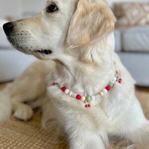 May include: A beaded pet collar featuring round silicone beads in alternating colors of red, white, and sage green. The collar includes a small, dangling charm shaped like a pair of cherries with green leaves and red fruit accents.