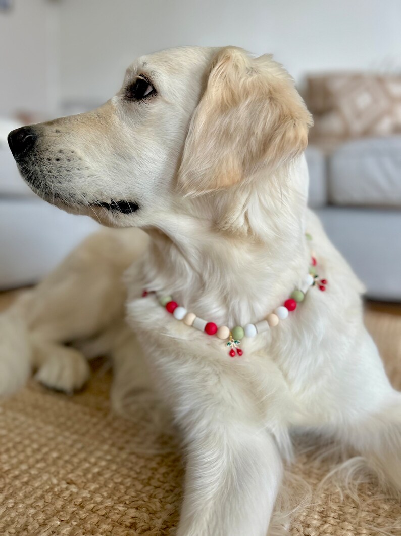 May include: A beaded pet collar featuring round silicone beads in alternating colors of red, white, and sage green. The collar includes a small, dangling charm shaped like a pair of cherries with green leaves and red fruit accents.