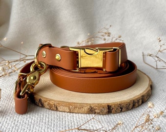 Biothane Adjustable Dog Collar Set with Leash - Brown and Gold
