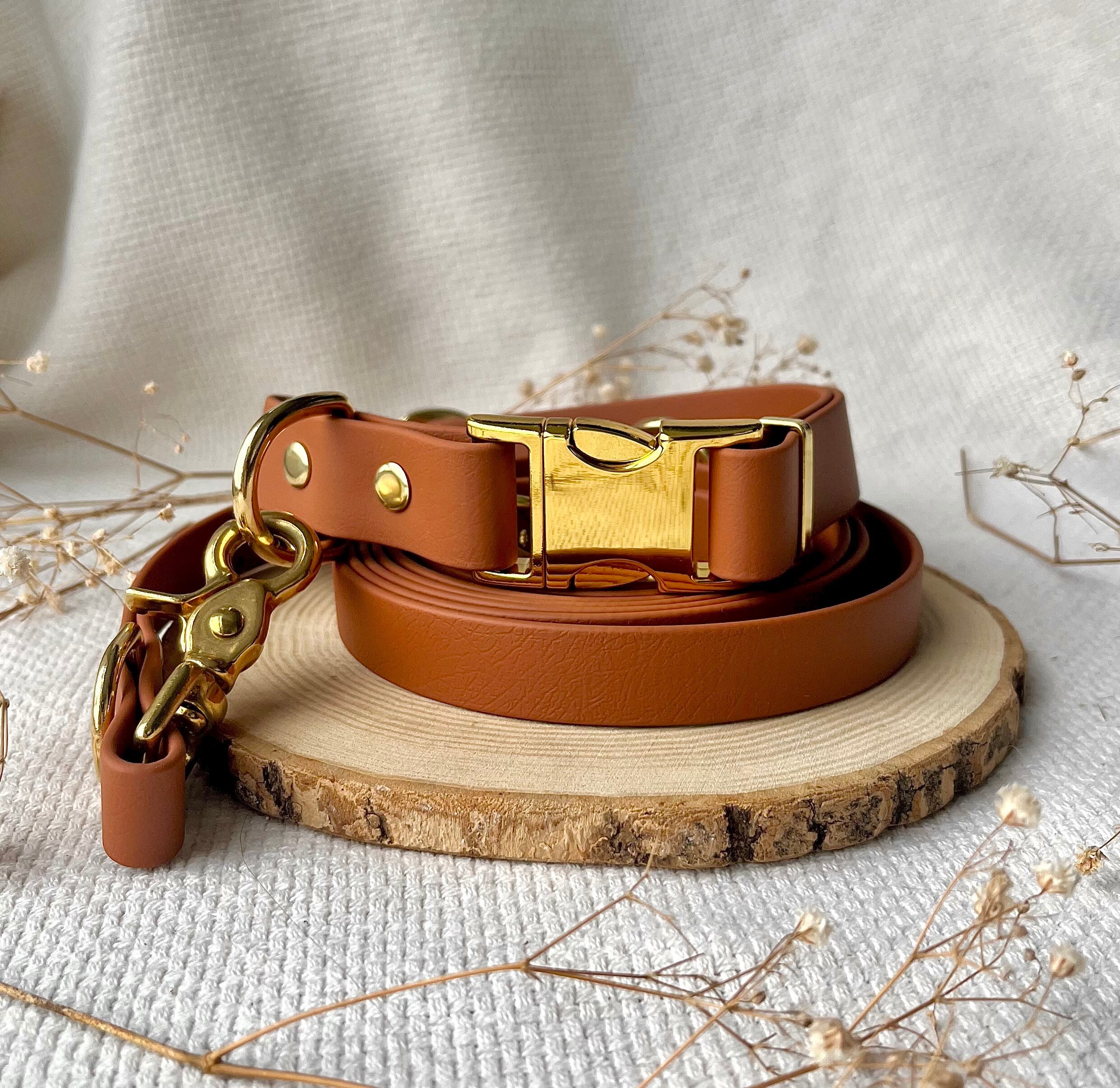 Hundehalsband 'Ostern' – Größe L, Mit Karabiner Für Leine Und Marke, Frühlingshaftes Design