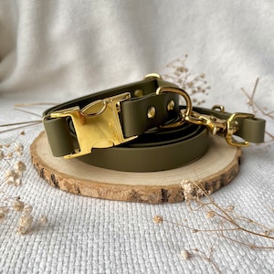Conjunto de collar de perro ajustable con correa Biothane - Oliva y oro