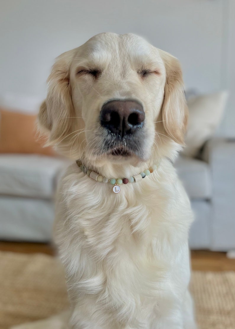 Collier anti-tiques en céramique EM Fabriqué à la main avec des tuyaux en céramique EM et des perles de pierre naturelle Amazonite image 2