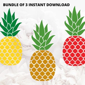 Pineapple SVG| Pineapple Svg Bundle |Pineapple Clipart For Cricut, Silhouette, Cut Files, Vector, Shirt Design,  Dxf, Png