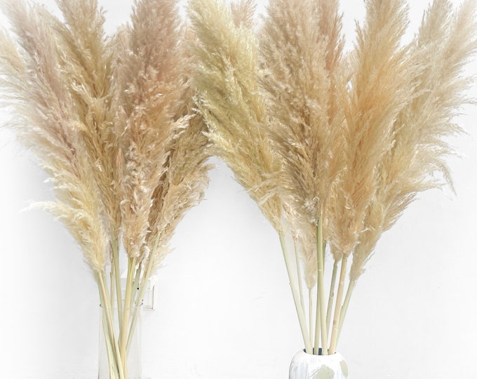 Pack of 8 Large Fluffy Pampas Grass 120cm Dried Pampas Grass for Wedding Decor | Home Decor | Housewarming Gift | Gift for Him & Her