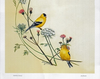 Gold Finch Poster