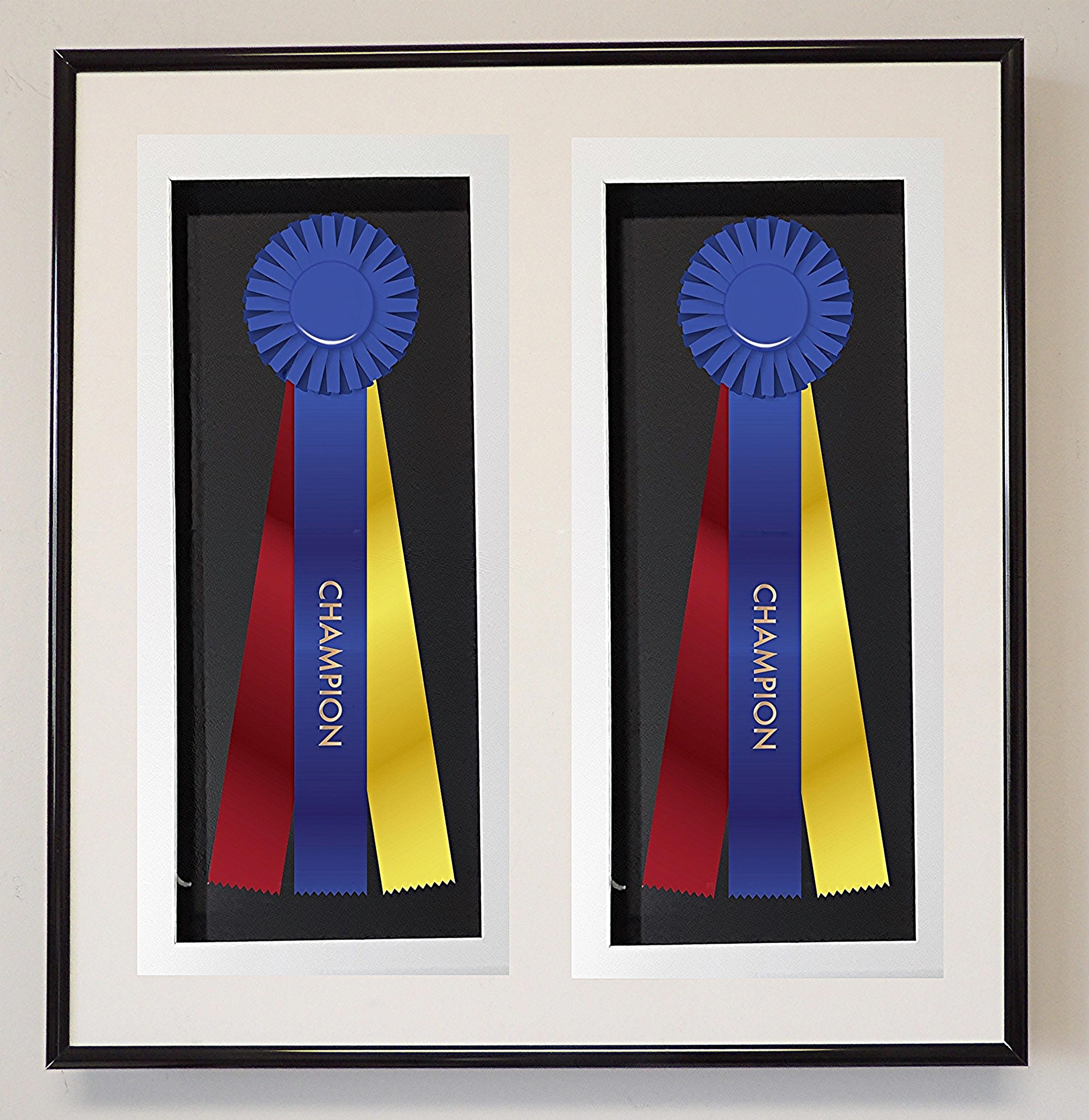 Double Ribbon Display Box: Two Ribbons-one Ribbon - Etsy