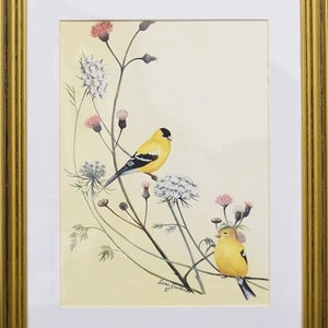 Audubon Wildlife Finch, Cardinal, Chickadee or Bluebird 11x14 Decorator Print