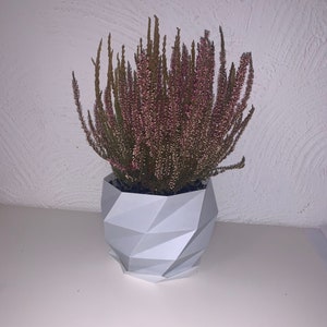 Puede incluir: Una maceta geométrica blanca con una planta de brezo rosa y marrón en su interior.