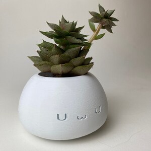 Peut inclure: Un petit pot de fleurs rond en céramique blanche avec le texte « uwu » gravé sur le devant. Le pot contient une plante succulente aux feuilles vertes et brun rougeâtre. La plante a une longue tige avec une petite fleur.