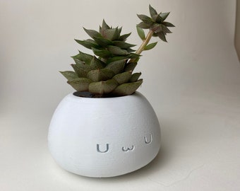 ZELDA Fun and Kawaii Flower Pot: Amusing and Cute Plant Decoration