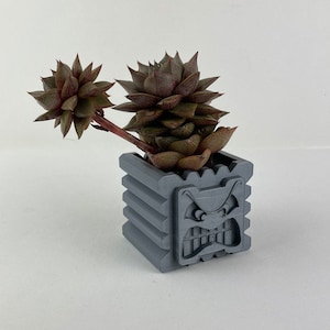 Op de afbeelding: Een grijze keramische pot met een gegraveerd boos gezicht ontwerp. De pot is gevuld met een vetplant met groene en bruine bladeren.