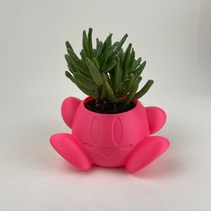 May include: A pink, 3D printed planter shaped like a cartoon character with a succulent plant growing inside.