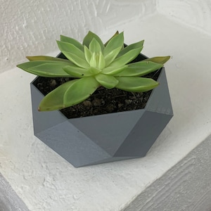 Large indoor/outdoor plant pot