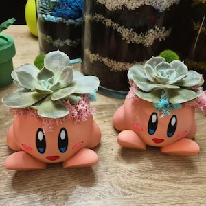 Op de afbeelding: Twee roze en witte keramische potten in de vorm van het personage Kirby uit de videogame-serie Kirby. Elke pot heeft een vetplant die erin groeit. De vetplanten zijn groen en hebben een lichtroze en blauwe mos rond de basis.