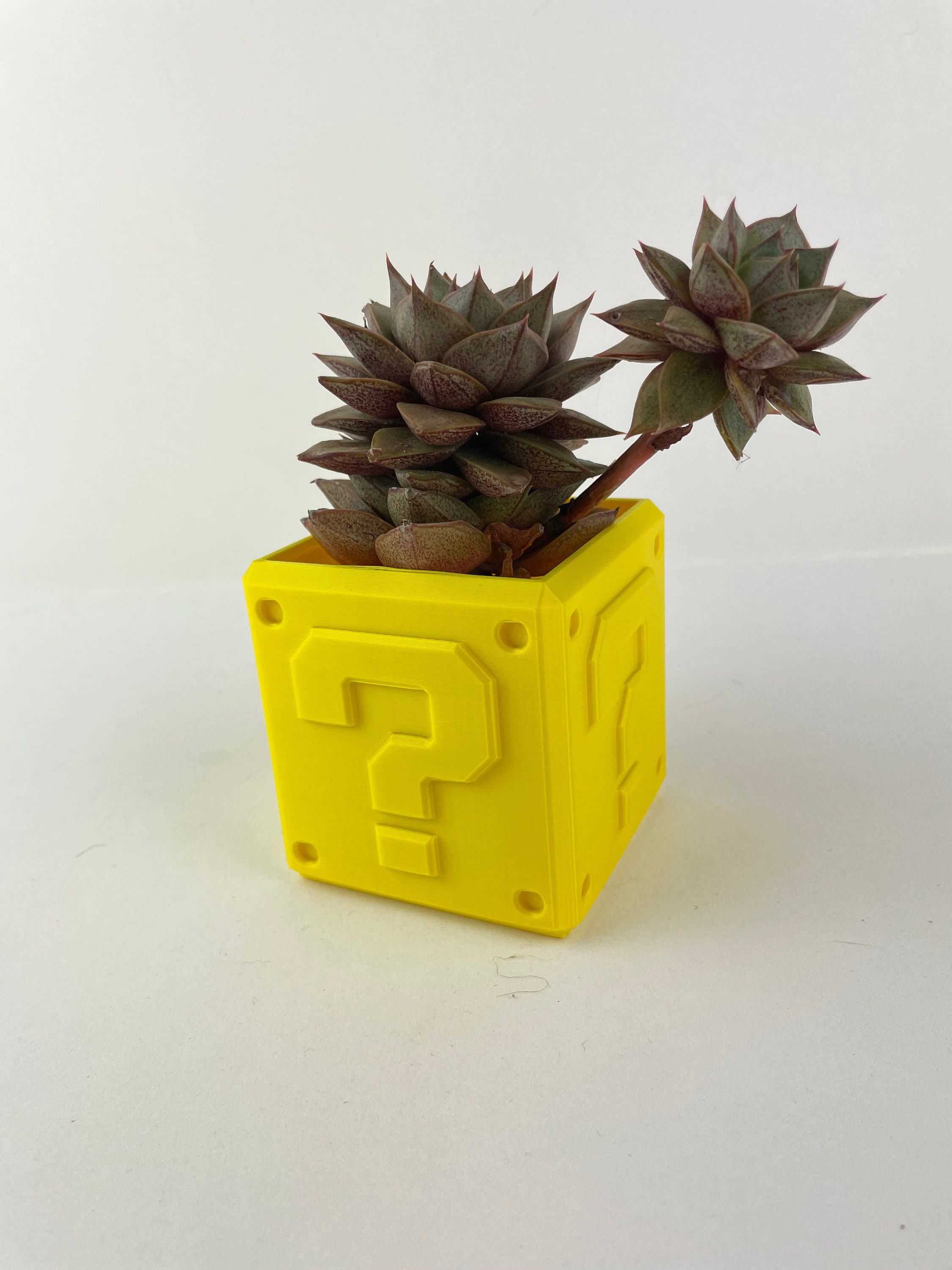 スーパーマリオブラザーズ ハテナブロックプランター|植木鉢 |スーパー