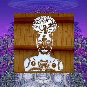 Espelho Erykah Badu “Nova Amerykah”