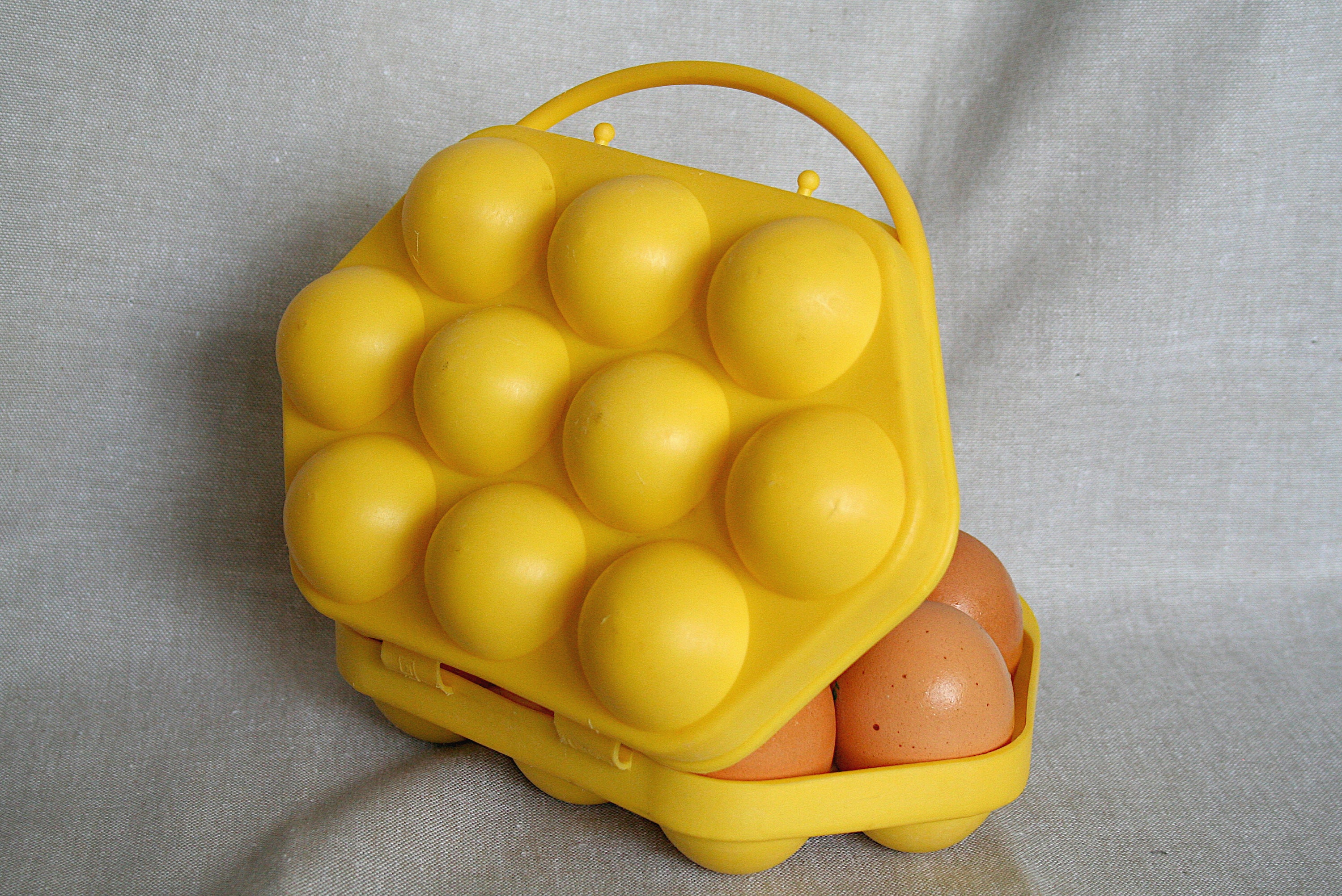 Vintage Egg Case Plastic Egg Tray Box for Eggs Etsy